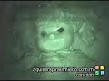 Video de una muñeca que habla ovni.blogsome.com
