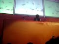 James Zabiela @ Creamfields Peru 2007