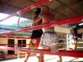 pad training sinbi muaythai