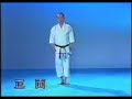 Karate Shotokan - Empi