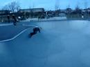 Oschatz Skatepark