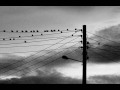 Monocromatico.wmv