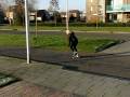 videos de Zondag 28-12-2008