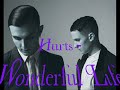 Hurts - Wonderful Life (DJ Nejtrino DJ Stranger Remix )