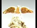 Luis Morais - Pipilita