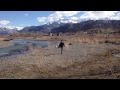 Road-trip Juggler - YouTube