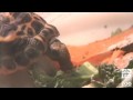 Spider Tortoise Hatchling - a Repeat Success