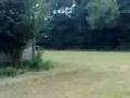 video scazzo della compa