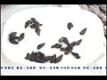 홍천강 낚시 MT