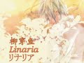 Linaria Kaito