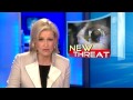 security up at us, european airports on eve of bin laden death anniversary. for more, click here: abcnews.go.com