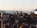 Pearl Jam Animal Gorge 2
