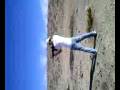 videos de ar15 down range-2
