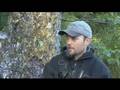 Alaska Bear Hunting Outfitters, Alaska Fishing Tours