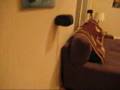 houston apartment with sound