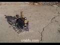 RC Steam Powered Centipede