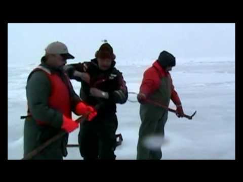 Storia di Sea Shepherd Conservation Society 3/10.avi