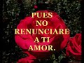 Video Poesia del Amor