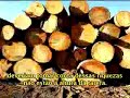 ...Os EUA querem comprar a Amazônia... ...Os EUA querem comprar a Amazônia...
