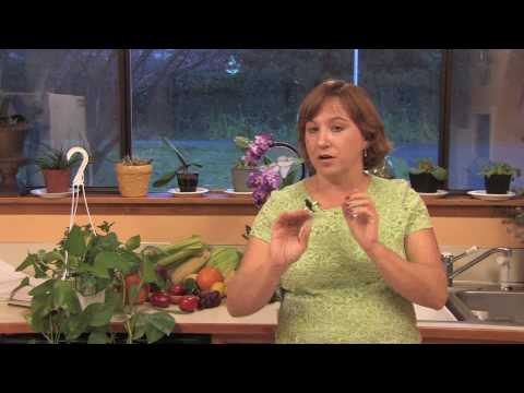 how to transplant plants in garden