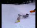 videos de Extreme Sledding 2