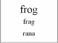 Learn English - Animal Vocabulary (Spanish version) Learn English - Animal Vocabulary (Spanish version)