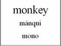 Learn English - Animal Vocabulary (Spanish version)