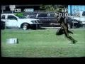 Windward Tigers 2005 Highlights part 1