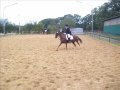 mein pferd und ich  - i love you♥