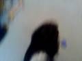 videos de 09112008037.mp4