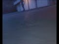 ghetto boy skate ghetto boy skate