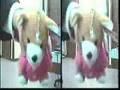 3D Stereo Imaging taken by nOOn Stereo Video Camera