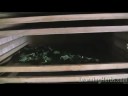 Stinging Nettle: Edible plants as your herbal vitamin Stinging Nettle: Edible plants as your herbal vitamin