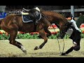 2008 OLYMPIC BLOOPERS HORSE FIGHTS RIDER