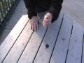 videos de Street Magic! By www.markofmystery.com