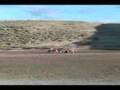 440-Honda-Pilot-670-