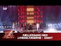 Fællessang Med Livedeltagerne ’Giant’ - Calvi