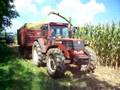 claas jaguar 840 e fiat f130...INSILATO MAIS 2008