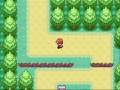 pidgey 3_0001.wmv