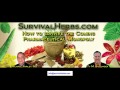 Ty Bollinger and Dr Michael Farley - Herbal ...