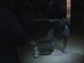 Break dancing  in Hi 5, Raleigh, NC, part 1 screen 4