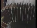 Jazz meets Tango -- Hibiskuß