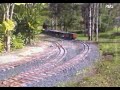 Kurts Live Steam Train 1