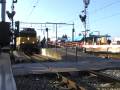 NS 1701 NS 1701