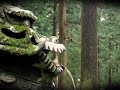 Japan Bite Japan Bite