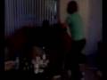 CLARK AND COURTNEY PLAY FIGHTING.3g2
