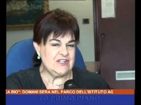 Primo Piano ore 19:15