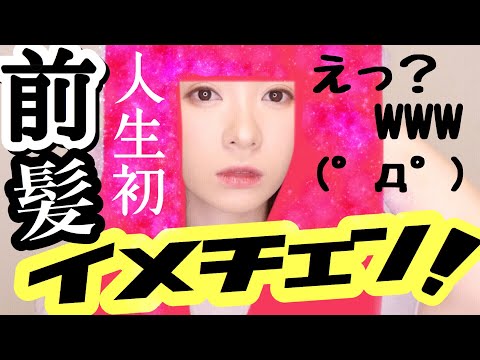 動画