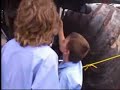 Feral 4 meet Monster Trucks in Whyalla