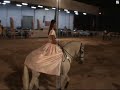 4 cavalos em alta escola 6ª parte alcobaça